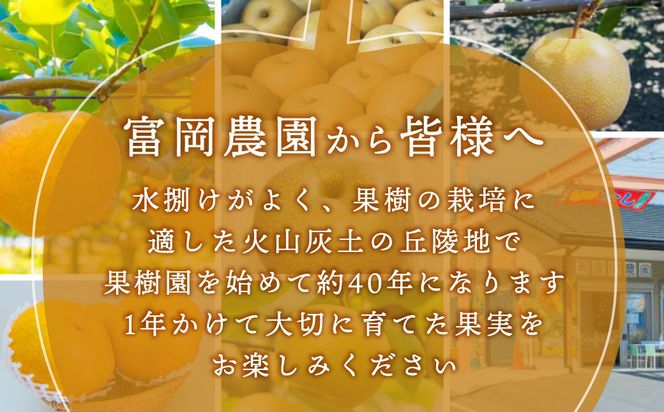 【先行予約】群馬県産ジャンボ梨「愛宕」2個(1個あたり約1.2～1.3Kg)【11月中旬～12月下旬発送予定】ANAH002