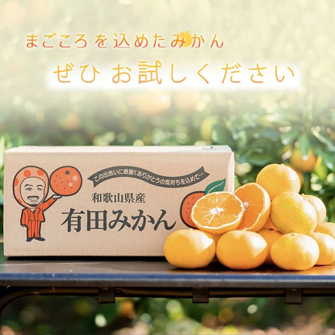 【2027年先行予約】和歌山県産 有田の八朔 (はっさく) 約10kg【L～2Lサイズ混合】まごころ手選別 _ZE6153n