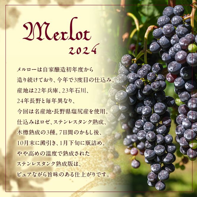 島醸造 メルロー 2024 720ml 小豆島醸造 赤ワイン 日本ワイン 化粧箱入り お酒 酒 ワイン 熟成 贈り物 ギフト 国産 香川 香川県 土庄 土庄町