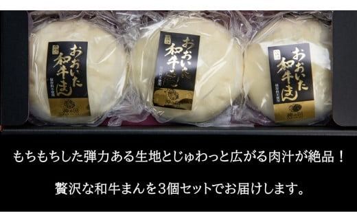 職人手作りの「贅沢おおいた和牛まん」_2562R