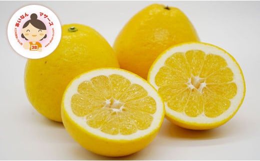 数量限定 先行予約 贈答用 河内晩柑 4kg 10000円 みかん かわちばんかん mikan 蜜柑 ミカン かわちばんかん 愛南ゴールド あいなん ゴールド 文旦 派生 和製 グレープフルーツ 産地直送 国産 農家直送 期間限定 特産品 ゼリー ジュース アイス 等に 人気 限定 甘い さわやか フルーツ 果物 柑橘 蜜柑 ギフト プレゼント あいなんマザーズ 愛南町 愛媛県