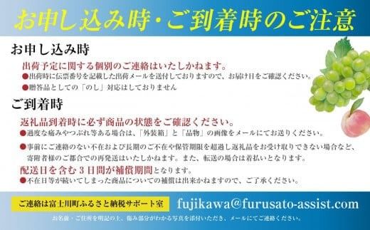 【2025年発送分 先行予約】シャインマスカット（３～４房） 1.6kg～1.7kg　シャイン マスカット ぶどう ブドウ 葡萄 フルーツ 果物 くだもの 山梨 やまなし 富士川町