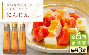 【全6回定期便】【 ご家庭用 】 糸島 野菜 を 食べる 生 ドレッシング （ 人参 × 3本 ） 《糸島》【糸島正キ】 [AQA030] ドレッシング セット 定期便 ギフト 無添加 人気 野菜 酵素 すりおろし 人参