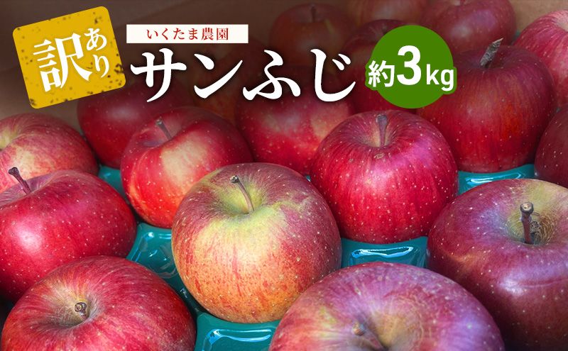 [2026年 11月〜発送]りんご 訳あり サンふじ 約 3kg フルーツ 果物 旬 不揃い 先行予約