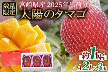 予約受付！数量限定＜宮崎県産 太陽のタマゴ A等級 2Lサイズ×3玉（合計約1kg）＞2025年4月下旬～6月末迄に順次出荷【 果物 くだもの フルーツ 太陽のタマゴ 太陽のたまご 完熟マンゴー ジューシー 果汁 かんじゅく 期間限定 先行予約 ギフト 贈答用 贈答品 贈り物】【a0694_ja】