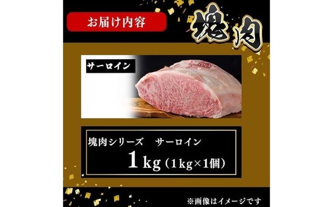 塊肉シリーズ サーロイン 計1kg(1kg×1個) wa42-001