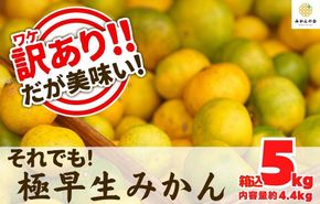 訳あり 極早生 箱込 5kg (内容量約 4.4kg) サイズミックス 有田みかん 和歌山県産 【みかんの会】 AX186