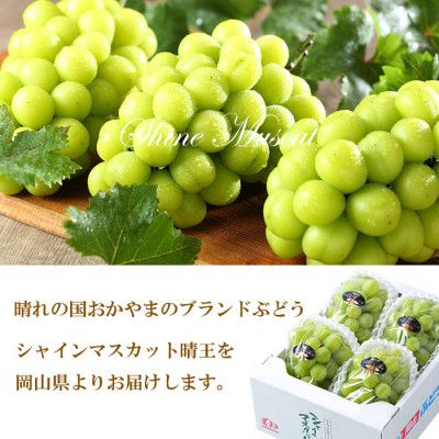 【2026年7月上旬より発送】岡山県産 シャインマスカット 晴王 1.5kg(3房～6房) ぶどう 葡萄 ブドウ フルーツ 果物
