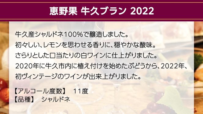 恵野果 牛久ルージュ 2022・恵野果　牛久ブラン 2022 の 750ml×2本セット 茨城県産 牛久醸造場 日本ワイン ワイン 赤ワイン 白ワイン 750ml ミディアムボディ お酒 贈り物 葡萄 ぶどう [BJ059us]