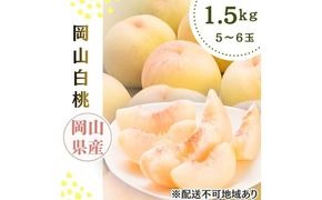 2026年先行予約 岡山県産 白桃 岡山白桃1.5kg箱 5～6玉 桃 果物 もも フレッシュ ハレノフルーツ [№5735-3498]