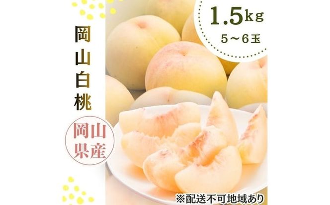 2026年先行予約 岡山県産 白桃 岡山白桃1.5kg箱 5～6玉 桃 果物 もも フレッシュ ハレノフルーツ [№5735-3498]