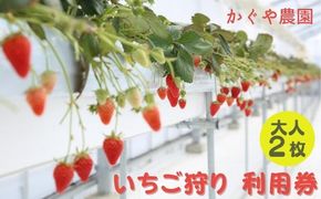 かぐや農園 いちご狩り 利用券 大人2枚《2025年12月10日～2026年5月31日ご利用可能》 体験チケット いちご狩り券 高設栽培 いちご食べ放題 フルーツ狩り お出かけ