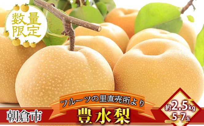 フルーツの里の直売所より 豊水梨 2.5kg ナシ 果物 先行予約 