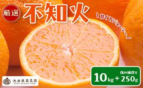 ［先行予約］厳選 不知火10kg+250g（傷み補償分）［デコポンと同品種・人気の春みかん］ 	CZ205