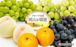 フルーツ 定期便 2026年 先行予約 フルーツ王国 岡山を堪能 5回コース 桃 もも 葡萄 ぶどう 梨 なし岡山県産 国産 果物 セット ギフト 柔らかい マスカット 甘い 酸味 高級 香り 風味
