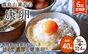 【ふるさと納税】卵【6回 定期便】霧島山麓育ち こだわり卵 康卵 計40個（36個 + 割れ保証4個） 6回 計 240個(216個 + 割れ保証 24個)たまご 玉子 卵焼き 玉子焼き たまご焼き 生卵 鶏卵 たまごかけごはん 国産 九州産 宮崎県産 送料無料