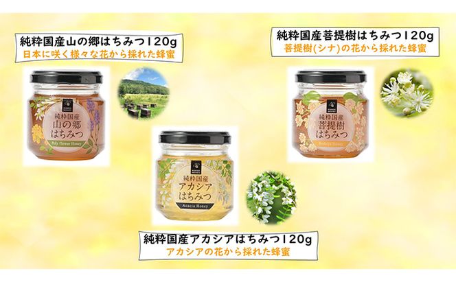 プロポリスエキス 30ml・国産はちみつ3本入り セット　天然　蜂蜜　ハチミツ 加工食品 フラボノイド 桂皮酸誘導体 百花蜜 アカシア 上品な甘み 優しい味わい 菩提樹 