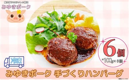 みゆきポーク手作りハンバーグ（6個入り）（Bo-005）