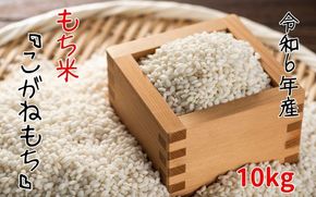 【令和6年産】平泉町産もち米 こがねもち 10kg / お米 こめ もちごめ 令和6年産 産地直送 国産 もち米の王様 年末 お正月 餅つき お餅 お雑煮 ぞうに お赤飯 おはぎ ぼたもち ギフト プレゼント 贈答 お祝い お返し【com400-koga-10-1B】