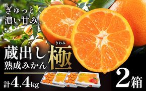【CF】＜先行予約＞ 蔵出し熟成みかん『極』2箱 《2月中旬-2月末頃出荷予定》みかん ミカン 蜜柑 mikan 貯蔵 柑橘 佐那河内 さなごうち 徳島県 箱入り 化粧箱 S M L フルーツ 果物 くだもの 贈答 進物 ---sanagouchi_lcl_22_2hk---