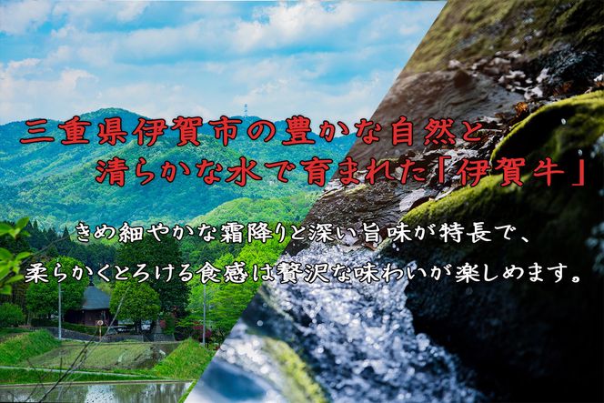 伊賀牛 牛すじ約1.2g(約300gx4パック) 242161_AZ071