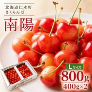 2027年発送 北海道 仁木町産 さくらんぼ 南陽 400g×2P Lサイズ  サクランボ チェリー フルーツ 果物 果物類 仁木町 仁木 [林果樹園]