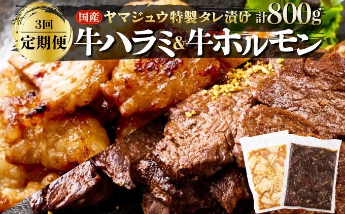 ヤマジュウの特選タレ漬け!牛ハラミ肉&国産牛ホルモン計800g[3回定期便]_yj086