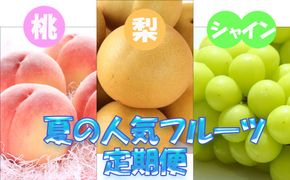 【定期便】定期便全3回 【7月・8月・9月発送】 和歌山の夏の人気フルーツをお届け（桃・梨・シャイン）【tkb429】 