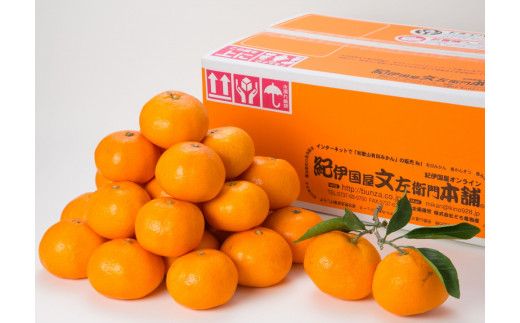 【予約受付】ブランド有田みかん　秀品2.8kg/サイズお任せ　※2026年10月中旬～2027年1月中旬頃に順次発送予定（お届け日指定不可）　紀伊国屋文左衛門本舗【sgtb144】