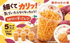 手づくり 細切り芋けんぴ 5個セット ｜ さつまいも 紅はるか 和菓子 おやつ 愛媛県 鬼北町 NPO法人くらしのお手伝い・ほっとホット