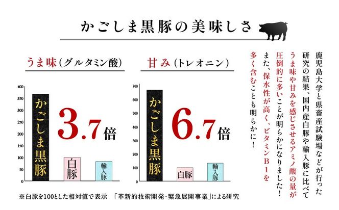 【10営業日以内に発送】鹿児島黒豚・熟成魚節出汁しゃぶセット　K265-002