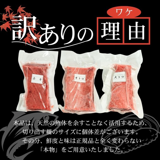 【スピード発送】 天然本まぐろ 中トロ 600g以上 訳あり まぐろ 刺身 さしみ 刺し身 鮮魚 まぐろ赤身 鮪 魚介 魚 マグロ 漬け ユッケ 海鮮丼 国産 天然まぐろ 高級 天然 人気 寿司 本鮪 お正月 年末 冷凍 三陸 大船渡 岩手 冊 ギフト ごちそう