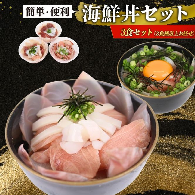 海鮮 海鮮丼 セット 冷凍 刺身用 天然 おまかせ 3種以上 3食分 小分け 簡単調理 時短 魚介 詰め合わせ 家庭用 高知県室戸市