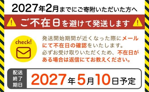 【先行予約】ほたるいか ボイル＆刺身皿盛りファミリーセット 【27年3月中旬以降順次発送】【生 ほたるいか ホタルイカ 小分け 便利 冷凍 大人気 おすすめ 国産 ホタルイカ 水揚げ いか イカ カネツル砂子商店 冷蔵 朝どれ おつまみ 旬 富山】