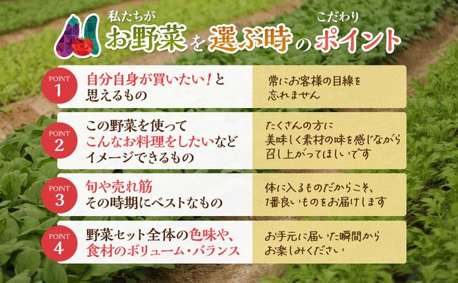 とれたて 野菜 パック 定期便 3回 季節の野菜 セット 詰め合わせ 8品前後 野菜セット 野菜詰め合わせ 3ヶ月 ジャガイモ 人参 大根 小松菜 白ネギ グリーンリーフ チンゲン菜 椎茸 トマト 水菜 葉ネギ 人気 厳選 静岡県