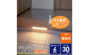 LED多目的灯 明暗人感30cm 電球色ALT-3030PIR(L) 272183_AZ246