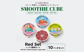 スムージーキューブ/RedSet10パック