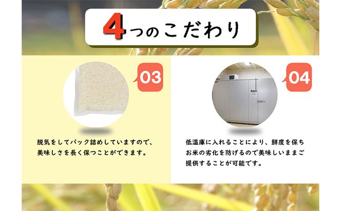 【定期便／全12回】無洗米 魚沼産こしひかり1合×30袋