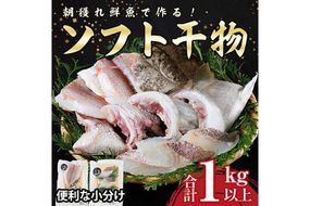 朝獲れ鮮魚で作る！魚屋さんの自家製ソフト干物！合計1kg以上(5～10枚)アジ イワシ カマス イカ タイ ブリカマ セット 詰め合わせ ひもの 焼き魚 おかず お惣菜【YS-3】【株式会社安田】