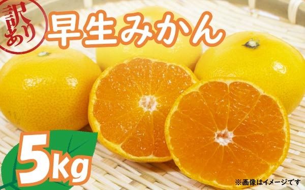 yÉ}szy2025N11{`z 󂠂  ݂ 5kg ƒp ݂ ʕ Y t[c k  Ԍ Gߌ 󂠂i 傫 s ~J  É }s