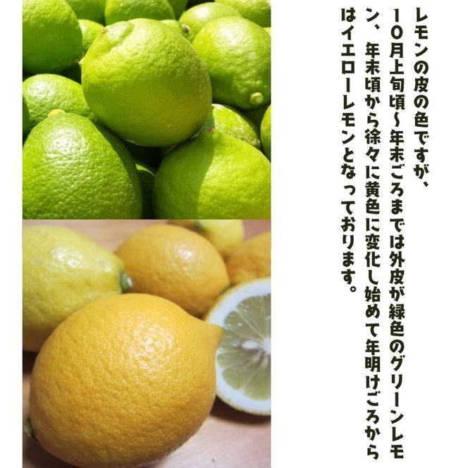 【国産】紀州和歌山 有田レモン 2kg+200g(傷み補償分)
