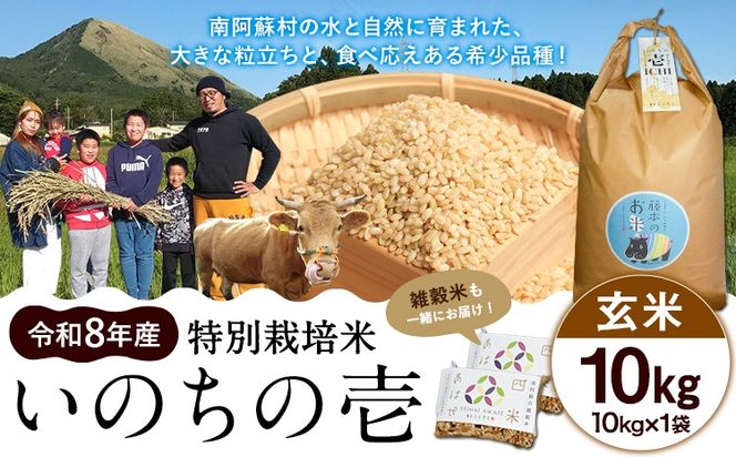 令和8年産 特別栽培米 いのちの壱 玄米 10kg (10kg×1袋) 雑穀米付き 虹色のかば《30日以内に出荷予定(土日祝除く)》熊本県 南阿蘇村 熊本県産 お米 こめ コメ 米---sms_inci6_30d_r8_24500_g10kg---