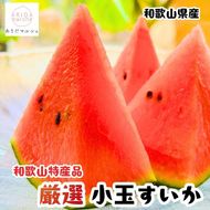 【先行予約】農家直送 厳選 小玉すいか Mサイズ/1玉入り ※2027年6月上旬～6月下旬頃に順次発送予定（お届け日指定不可）【ard175B】