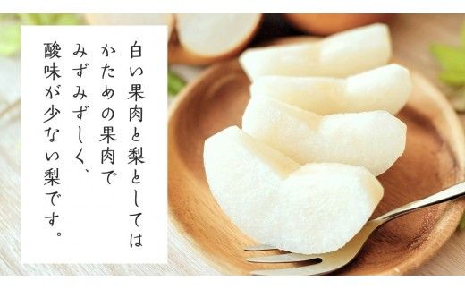 【 産地直送 】 幸水 3kg 先行予約 梨 フルーツ 果物 国産 日本産 梨 ナシ なし 和梨 [CZ006ci]