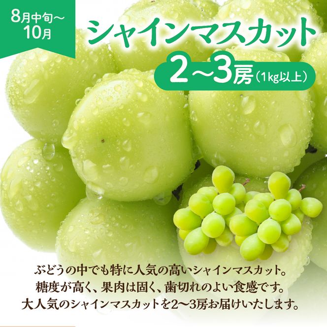 【定期便/年4回】ＪＡむなかた厳選！人気のフルーツ定期便【ほたるの里】_HB0140