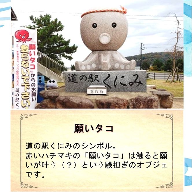【選べる容量】道の駅くにみの願いタコカレー レトルト 時短 簡単調理 海鮮 真蛸_2802R
