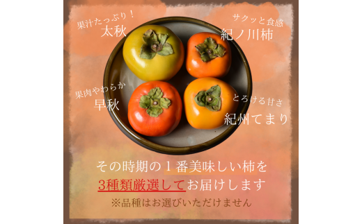 旬の 柿 詰め合わせ 3kg 特秀 / 詰め合わせ かき 甘い 太秋柿 紀ノ川柿 富有柿 早秋柿 3kg 珍しい 希少 和歌山産 ※2026年10月上旬～11月下旬に順次発送【frt504-p-tume-3】
