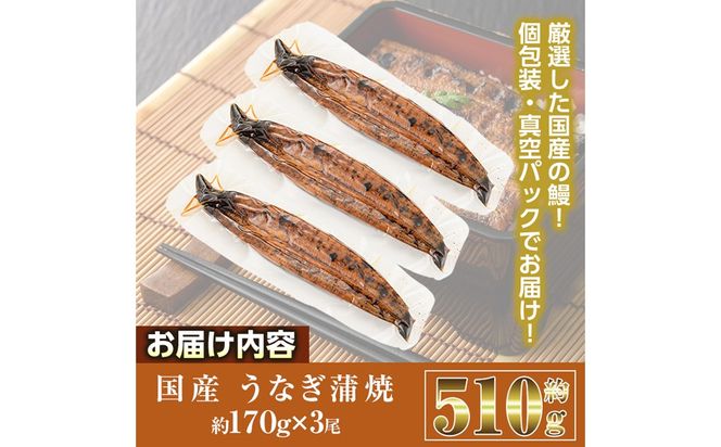 国産 うなぎ 蒲焼 (約170g×3尾) 鰻 タレ かば焼き うな重 うな丼 ひつまぶし 小分け 真空包装 真空パック 【丸正水産】【AW-90】