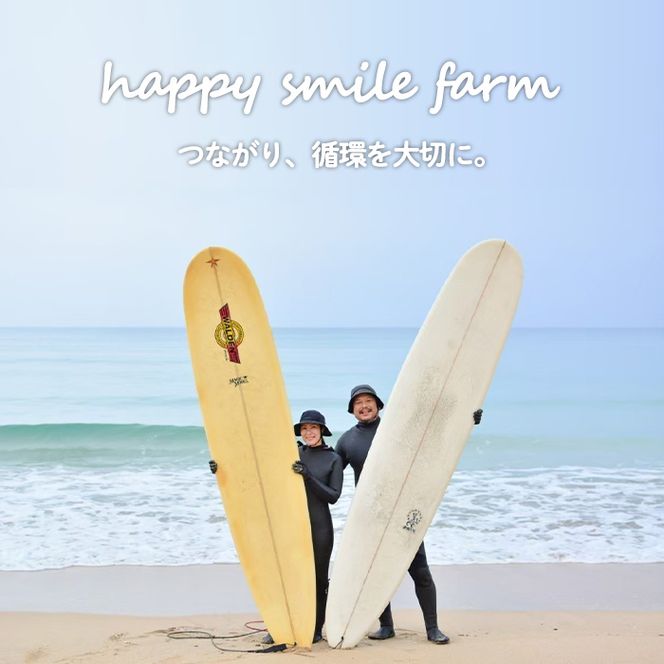 ＜選べるアクティビティと人数＞happy smile farm アクティビティ体験チケット(サーフィン or SUP or BIG SUP or リバートレッキング or 登山/2名様or3名様) サーフィン サップ リバトレ レジャー 自然 マリンスポーツ アウトドア 山登り【落合ぶどう園】akn025-02