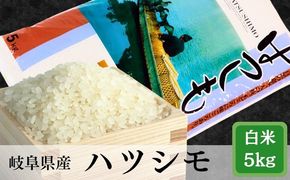 AK-4b 岐阜ハツシモ約5kg